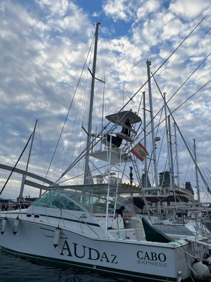 CABO YACHTS 45 EXPRESS - 5