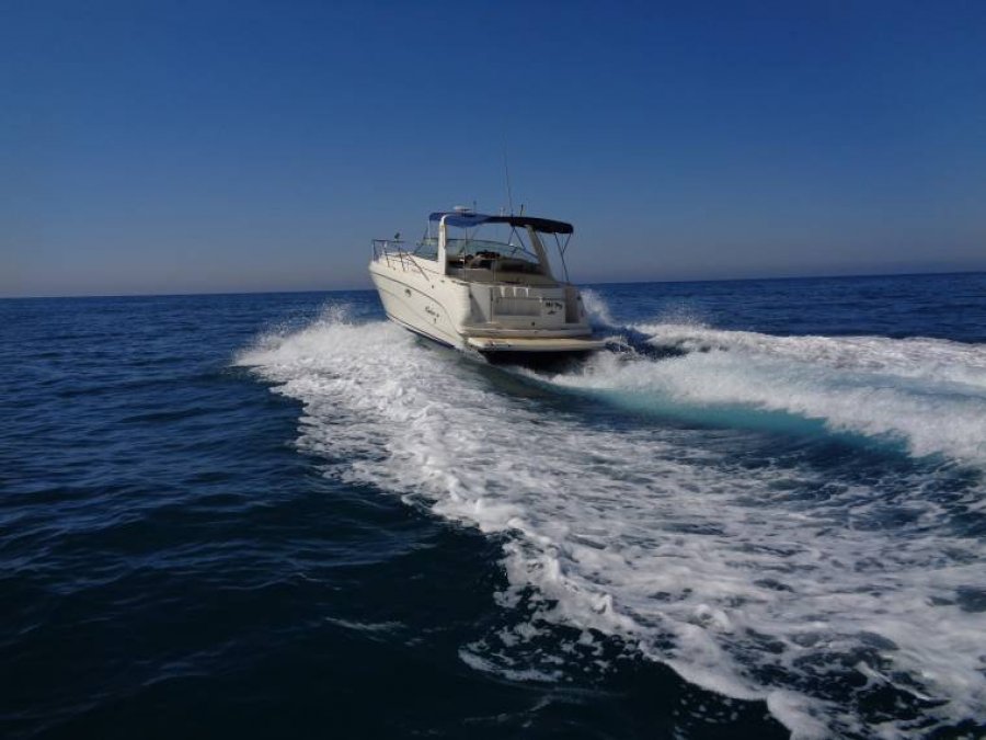 RINKER 310 EXPRESS CRUISER - 16