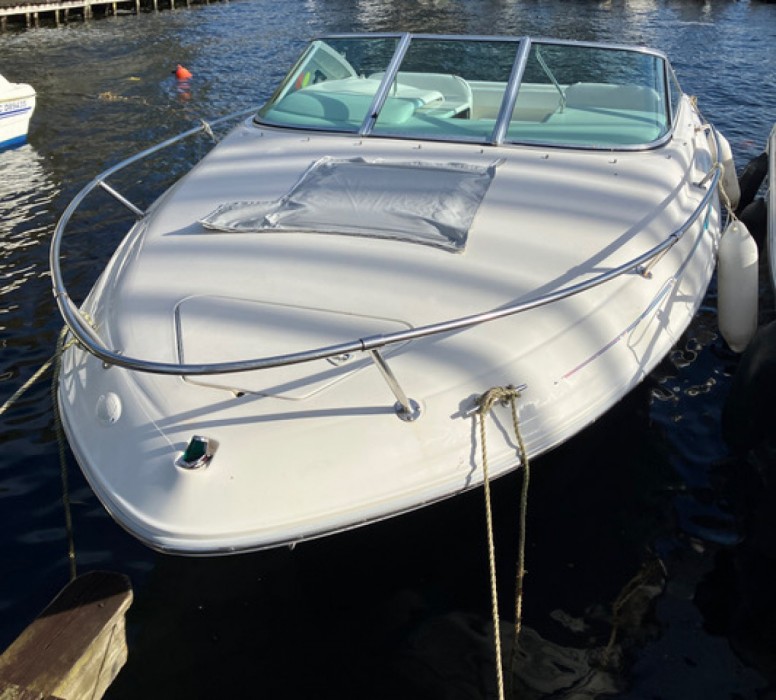 Sea Ray 215 Express Cruiser