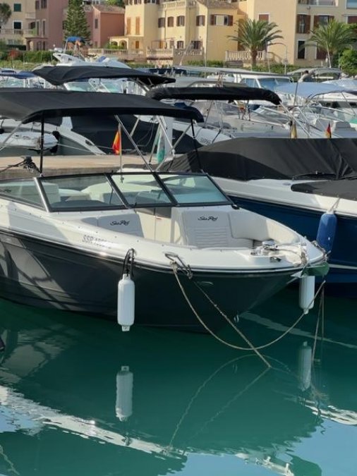 SEA RAY 230 SPX - 4