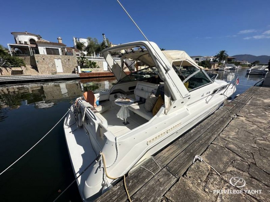 Sea Ray 290 Sundancer