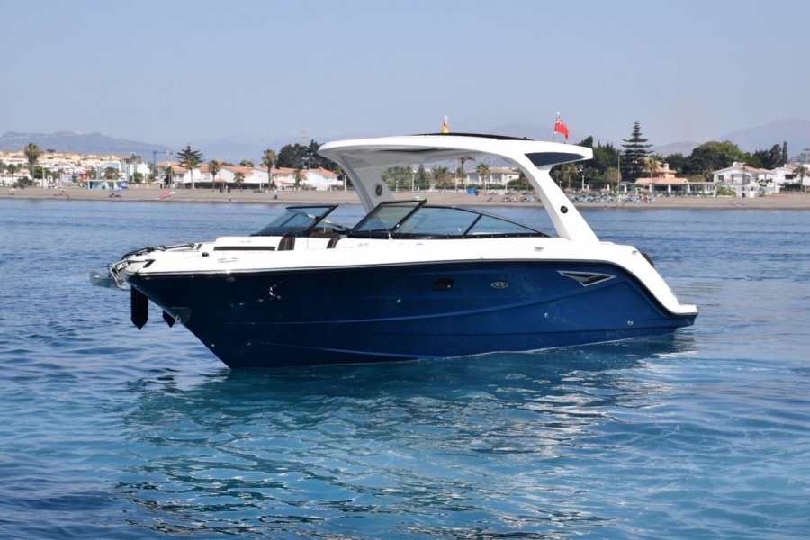 SEA RAY 310 SLX - 5