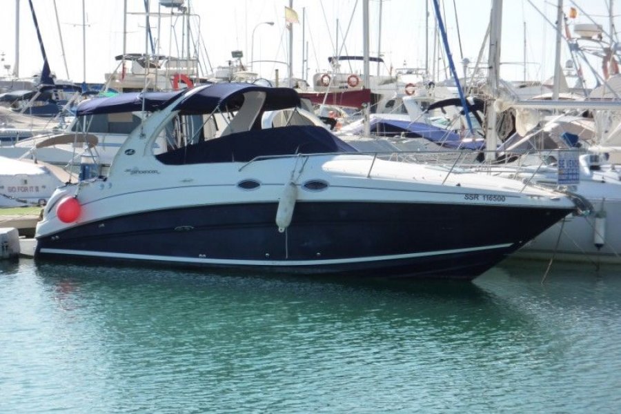 Sea Ray 315 Sundancer