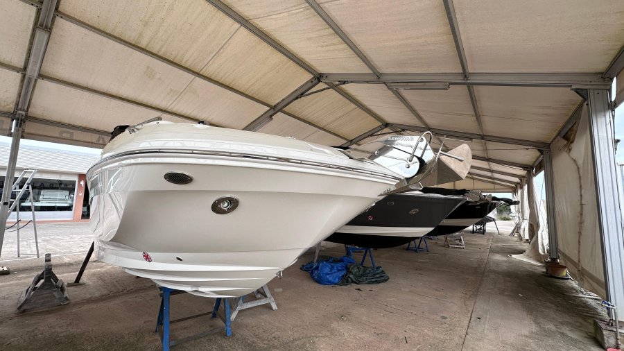 SEA RAY SDX 250 - 4