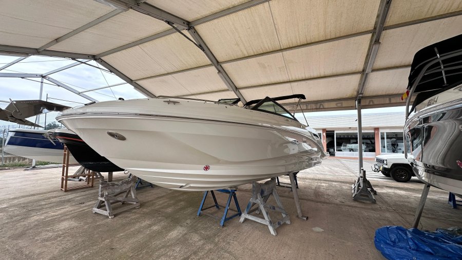 SEA RAY SDX 250 - 7