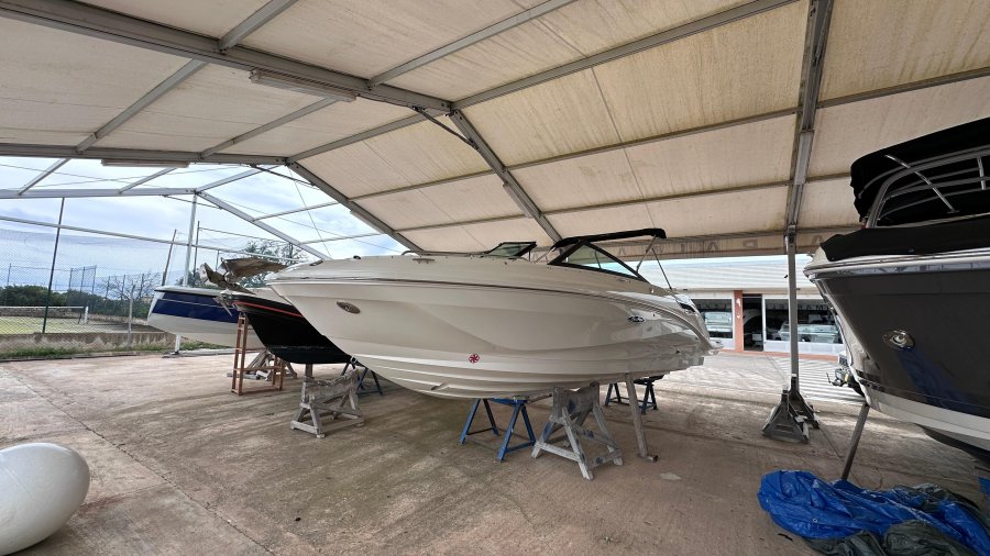 SEA RAY SDX 250 - 8