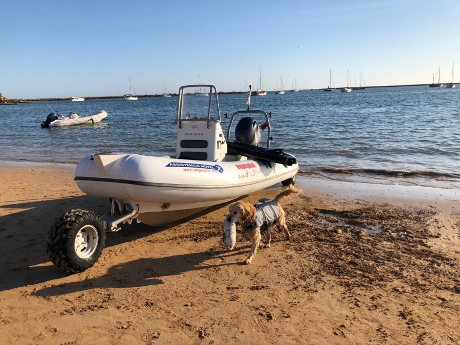 SEALEGS 6.1M SPORT RIB - 4