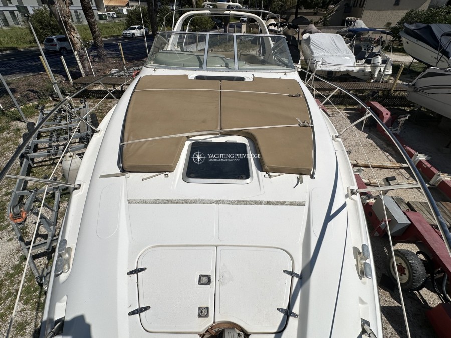 SEALINE 360 AMBASSADOR - 11