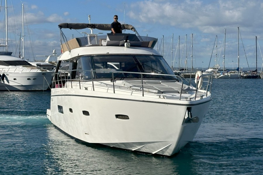 SEALINE F 42 - 3